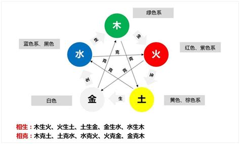 五行植物|最权威植物五行属性介绍以及家居布局（建议收藏）